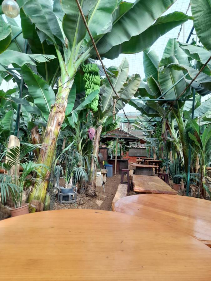 Tenerife Homestay San Miguel de Abona Exteriör bild